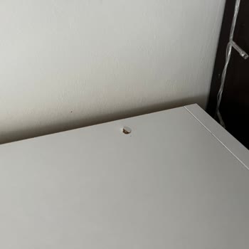 A101 Uzun Teslimat Süresi Ve Kusurlu Ürün Hayal Kırıklığı