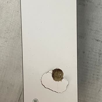 Temiz Mobilya Güneşli Mağazasının İlgisizliği