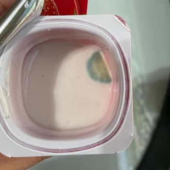 Eker Migros'tan Aldığım Eker Marka Probiyotikli Yoğurdun Bozuk Çıkması