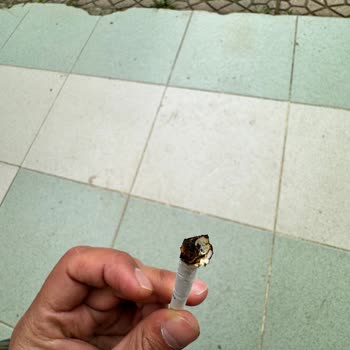 Philip Morris Kalite Beklentisi Ve Odun Sürprizi