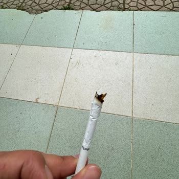 Philip Morris Kalite Beklentisi Ve Odun Sürprizi