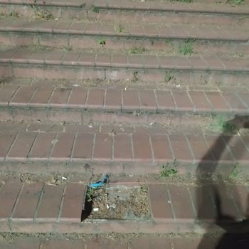 İBB WhatsApp Hattı Ve Çözüm Olmaması