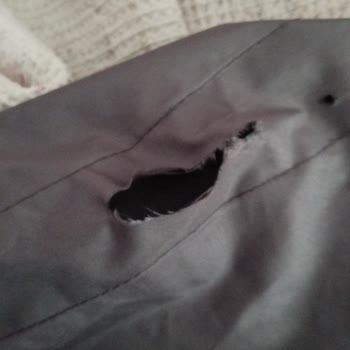 Baby Force Park Beşik Kırık