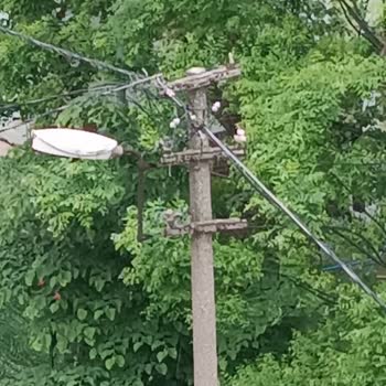 Boğaziçi Elektrik - BEDAŞ Elektrik Direği Tehlikesi