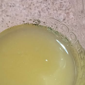 Dimes Gıda Küflü Meyve Suyu