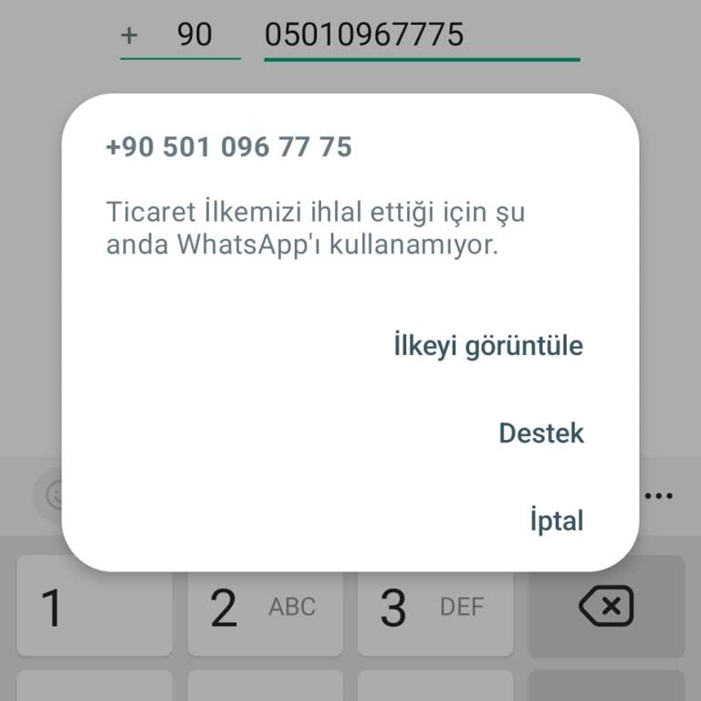 WhatsApp Business WhatsApp Giriş Yapamıyorum