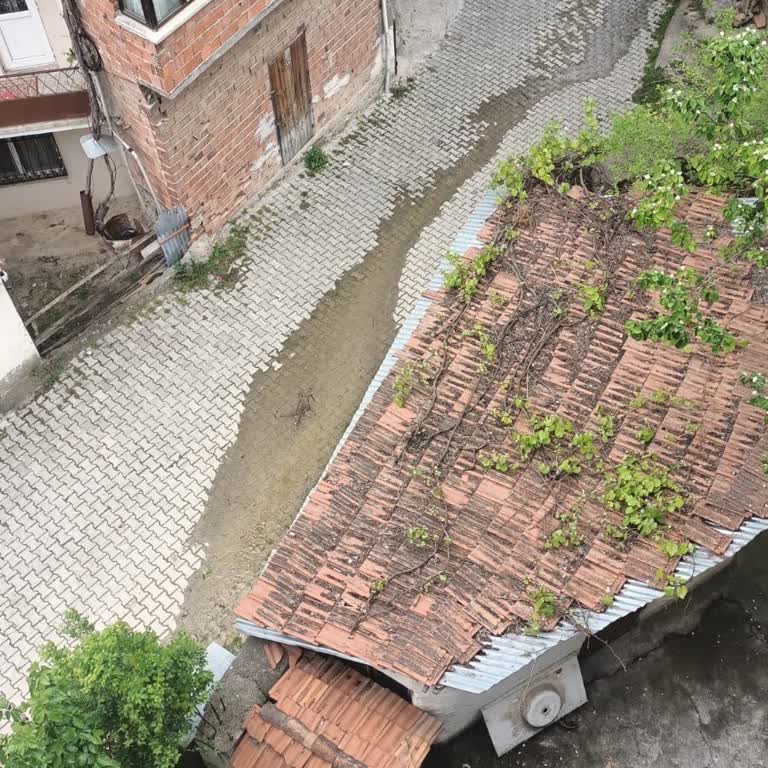 SASKİ 1.5 Aydır Çözülmeyen Kanalizasyon Arızası - Samsun/Kavak