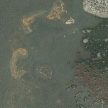 Lava Pizza Krep Tavası Paslanma Sorunu