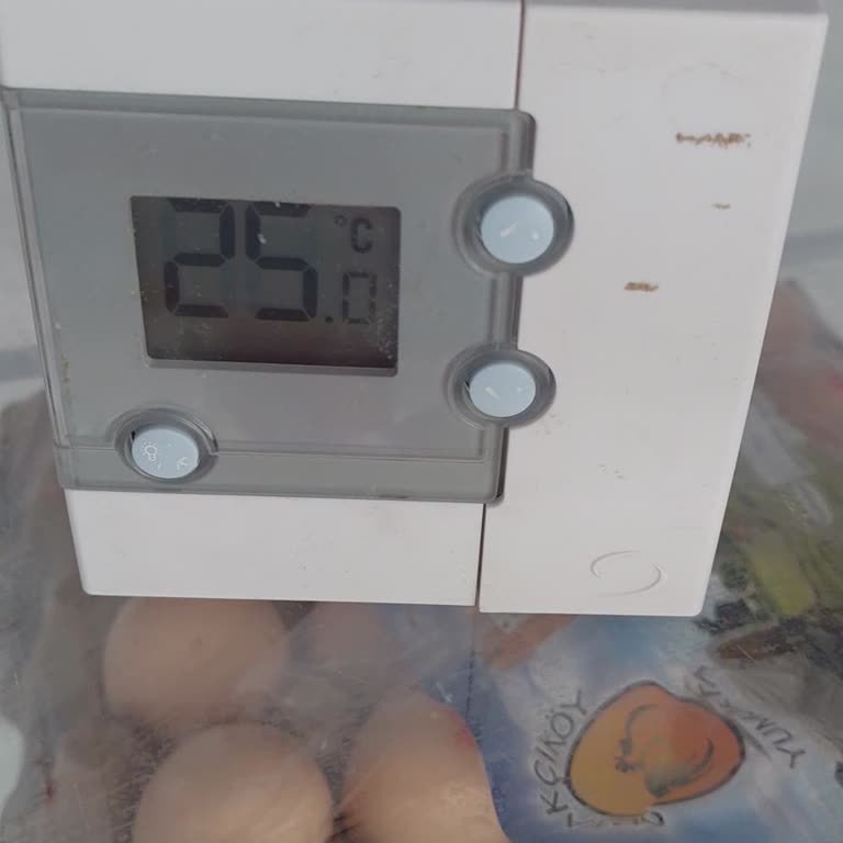 25 Derece Buzdolabı Samsung