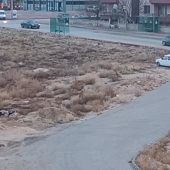 Konya Büyükşehir Belediyesi Başıboş Kopekler Ve Yeşil Alan Park Sorunu