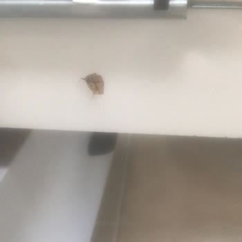 Koçtaş Montaj Hüsranı: Yeni Mutfak Dolabım Hasarlı