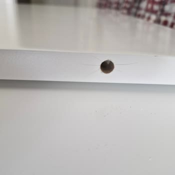 Doğtaş Mobilya Yüksek Fiyata Kırık Teslimat Ve Çözümsüzlük