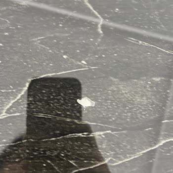 Evmia Mobilya Bin Pişman Ettirdi