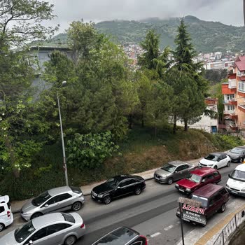 Ordu Minibüsçüler Odası Dolmuş Hastane Belediye