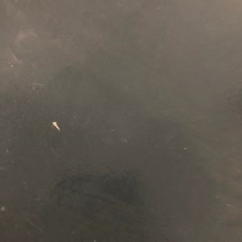 Bianca Stella Pişmanlıktır!