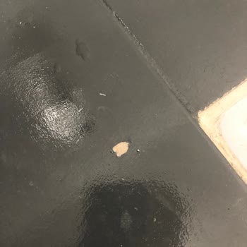 Bianca Stella Pişmanlıktır!