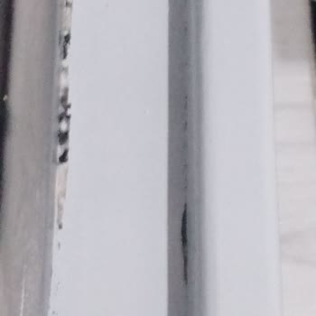 Bianca Stella Pişmanlıktır!