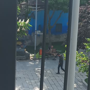 Keçiören Belediyesi Hayvan Parkında TAC*Z