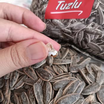 Çerezya Paketinde Çekirdek Yerine Sümüklü Böcek Lezzeti Buradan!