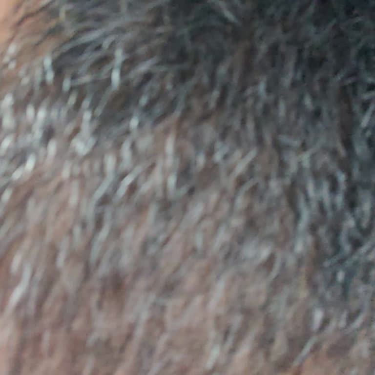 Koleston Saç Boyası Yerine Saç Spreyi Göndermek Alay Eder Gibi