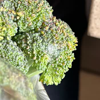 Migros Hemen Beni Çok Şaşırttı! Küflü Brokoli Ve Bir Sürü Eksik Ürün.