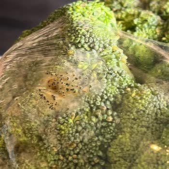 Migros Hemen Beni Çok Şaşırttı! Küflü Brokoli Ve Bir Sürü Eksik Ürün.