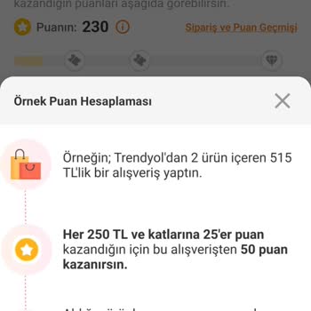 Trendyol Puan Kaçırması Hakkında