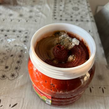 Öncü Salçanın Kapalı Halde İken Bile Küflenmesi