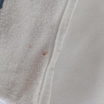 Arçelik Pişmanlığı Toz Tüy Pas