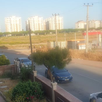 Antalya Muratpaşa Belediyesi Gebizli 1107 Sk. Hakkında Cevre Düzenlemesi Ve Otobüs Hakkında