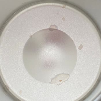 Skip Hop C***** 's Skip Zoo Çelik Termos Paslanma Şikayeti