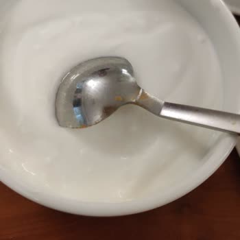 The Green Oasis Otel Kötü Hizmet