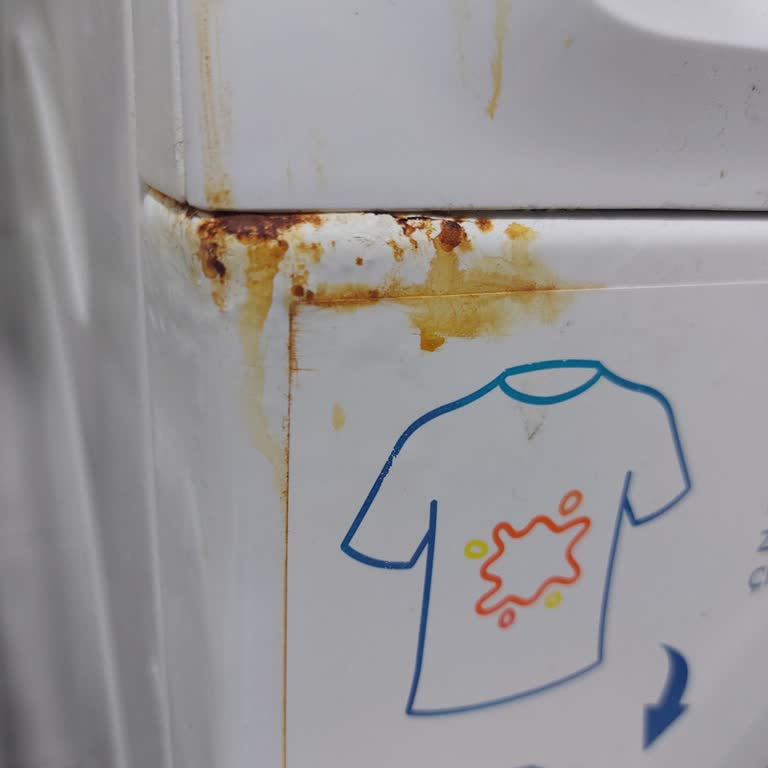 Profilo Çamaşır Makineleri Paslanma Sorunu