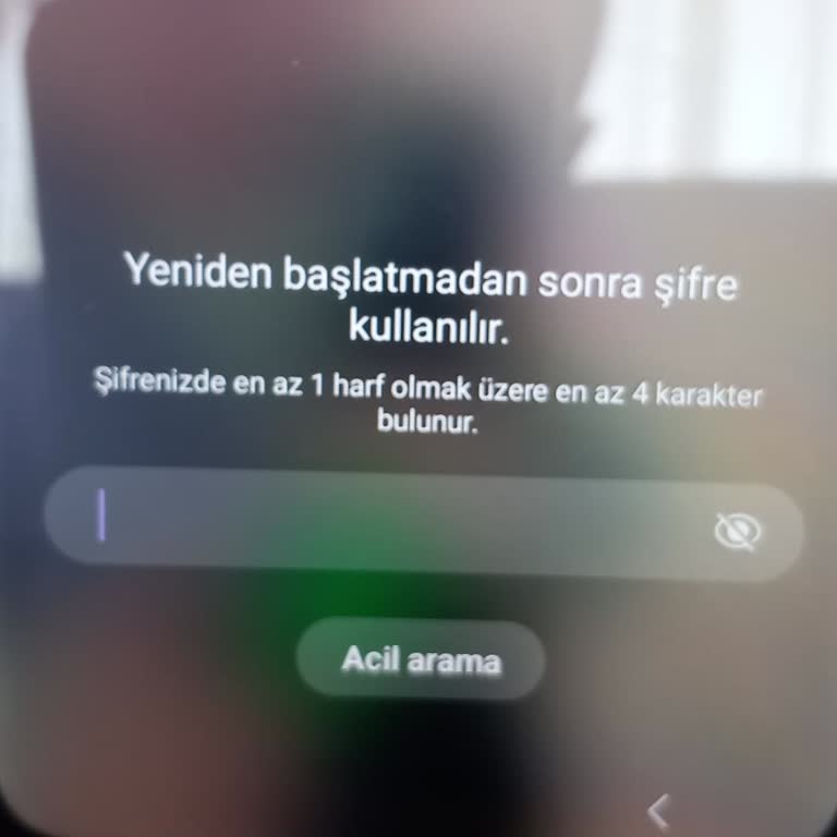 Samsung Telefon Yeniden Başlatmadan Sonra Şifre Kullanılır Hatası