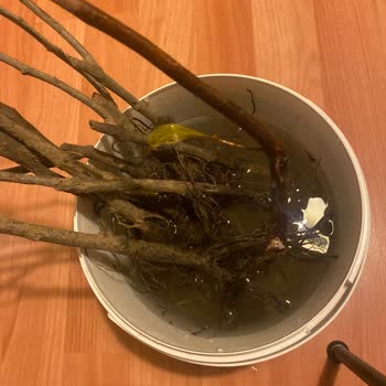 Fest Danışmanlık Ve Depolama Ücretimi İade Etsin