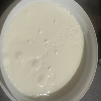 Halkmar Çamlıbel Yoğurt Küf Problemi