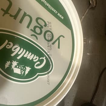 Halkmar Çamlıbel Yoğurt Küf Problemi