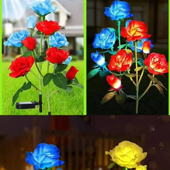 Solarcicek.shopfest.click Görselle Alakasız Ve Çalışmayan Ürün!