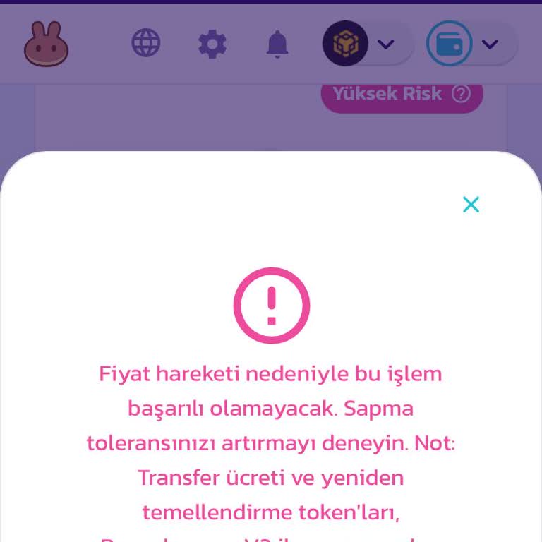 Pancakeswap Satış Yapamıyorum