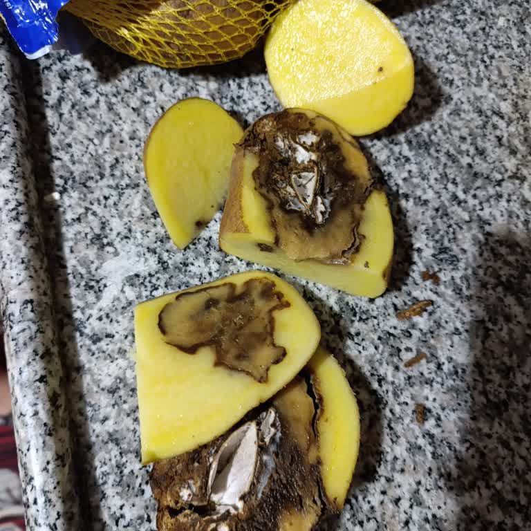 Getir Büyük Çürük Patates