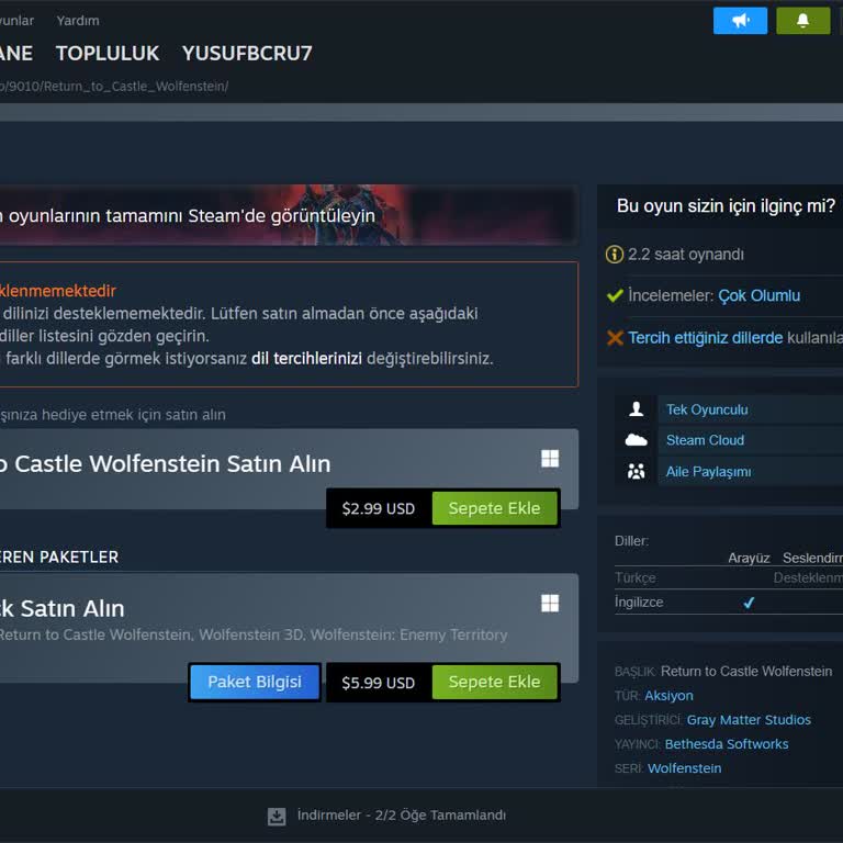 Steam Oyuna Giremiyorum