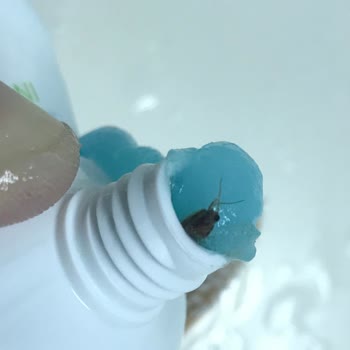 Oral-b Diş Macunu İçerisinden Çıkan Böcek