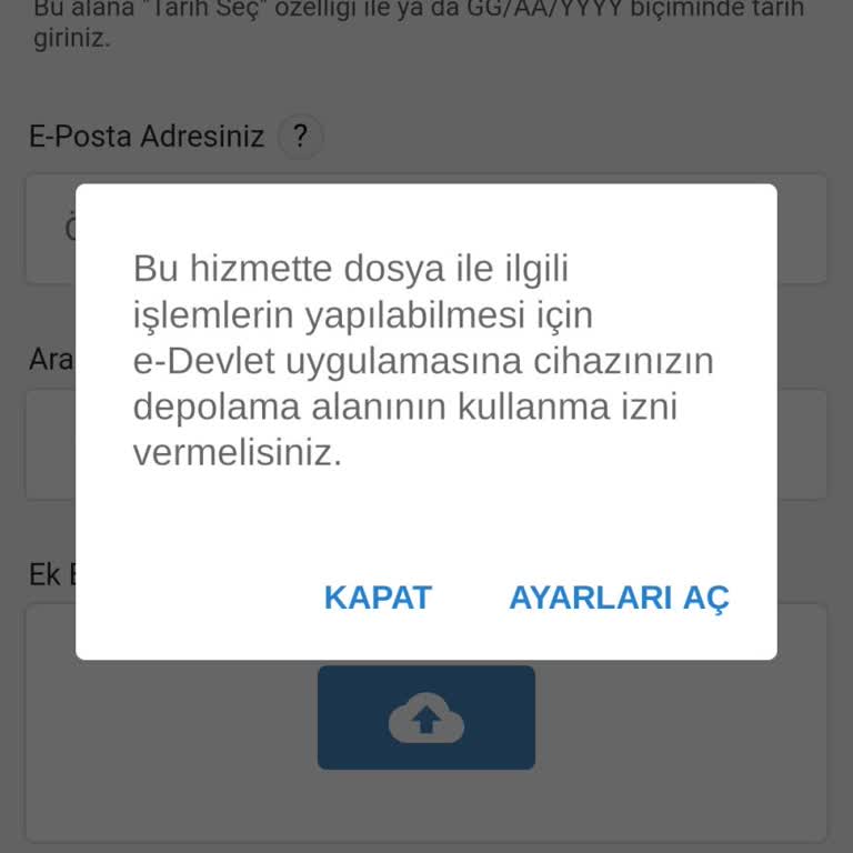 E-Devlet (Turkiye.gov.tr) Telefon Ayarı Sorunu!