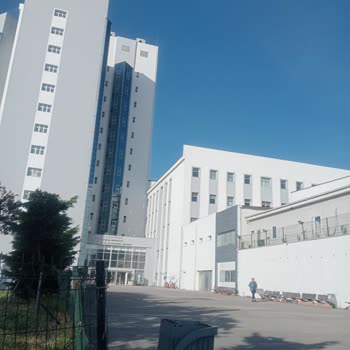 Marmara Üniversitesi Pendik Eğitim ve Araştırma Hastanesi Acil Serviste Yaşanan Sorunlar Ve Bekleme Süresi Şikayeti