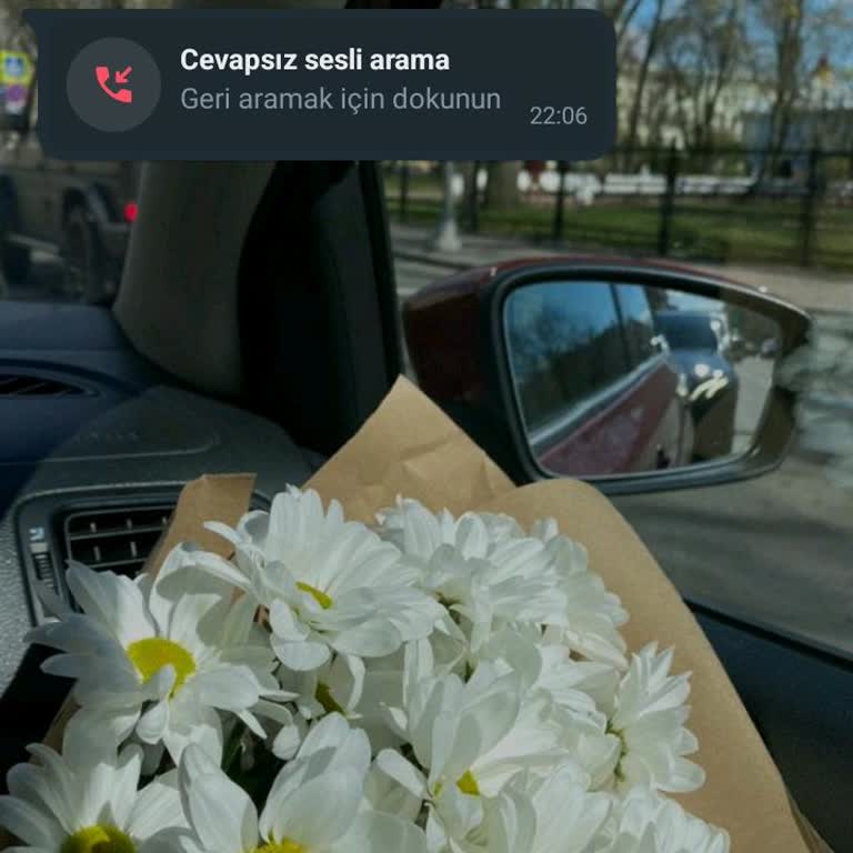 WhatsApp Akşam Arap Tarafından Arandım