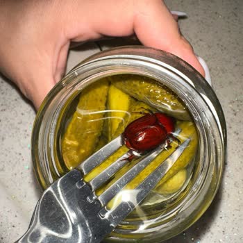 Eki aç