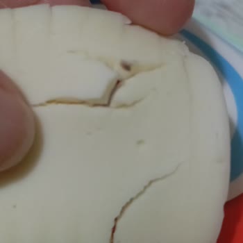 Ekici Peynir Ekici Kaşar Peynirinden Hoş Olamayan Bir Cismin Çıkması
