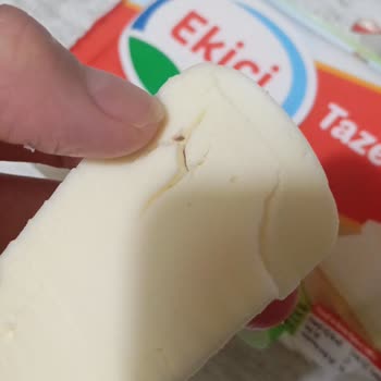 Ekici Peynir Ekici Kaşar Peynirinden Hoş Olamayan Bir Cismin Çıkması