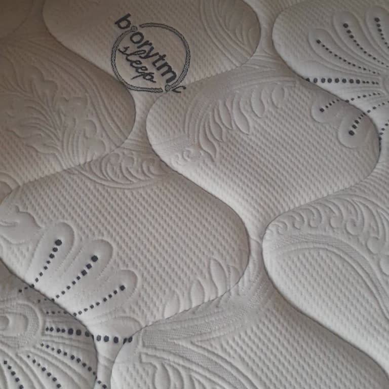 Bellona Bioenergy Active Yatak