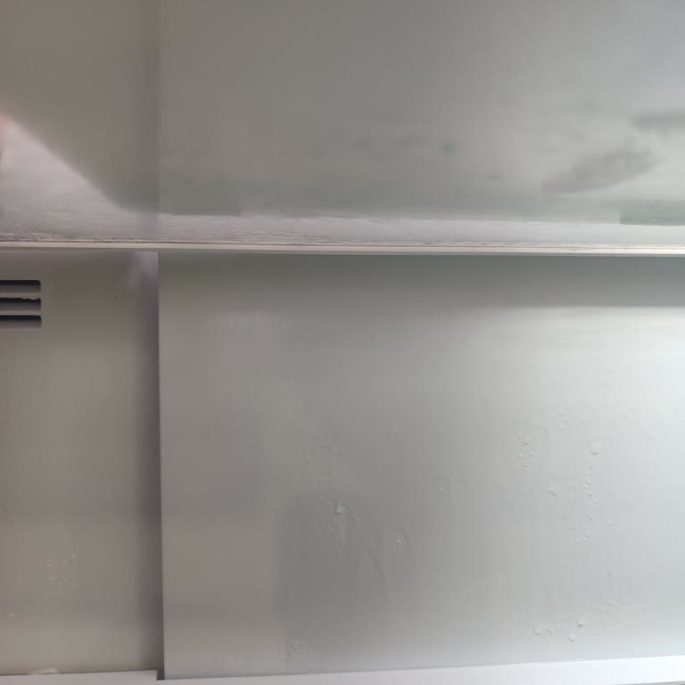 Beko Buzdolabı Arıza Terleme Ve Gıdaları Bozam